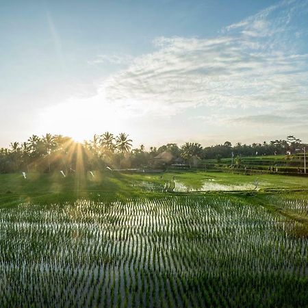 Villa Tanah Carik By Mahaputra Tegallalang  Exteriér fotografie