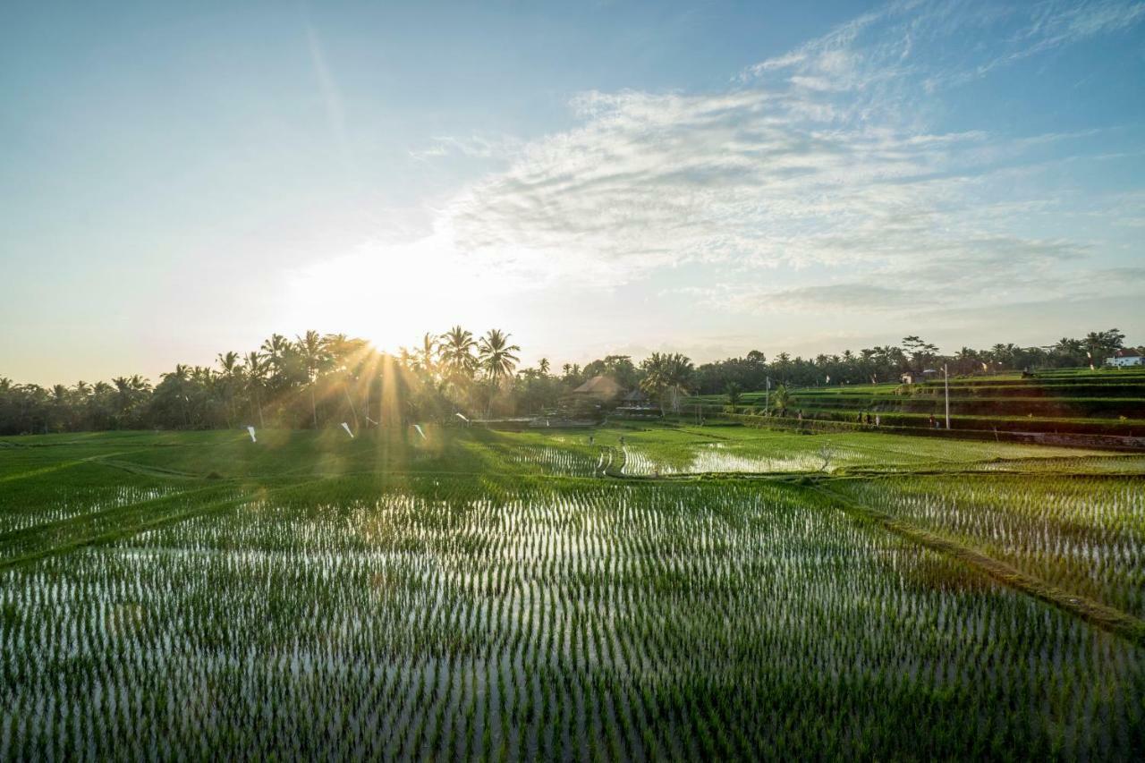 Villa Tanah Carik By Mahaputra Tegallalang  Exteriér fotografie